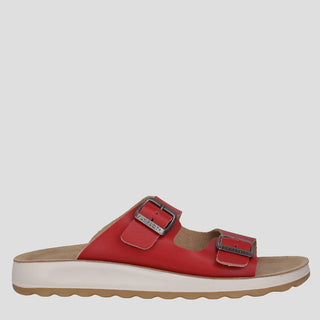 FF 77G64 2C - RED SLIDES